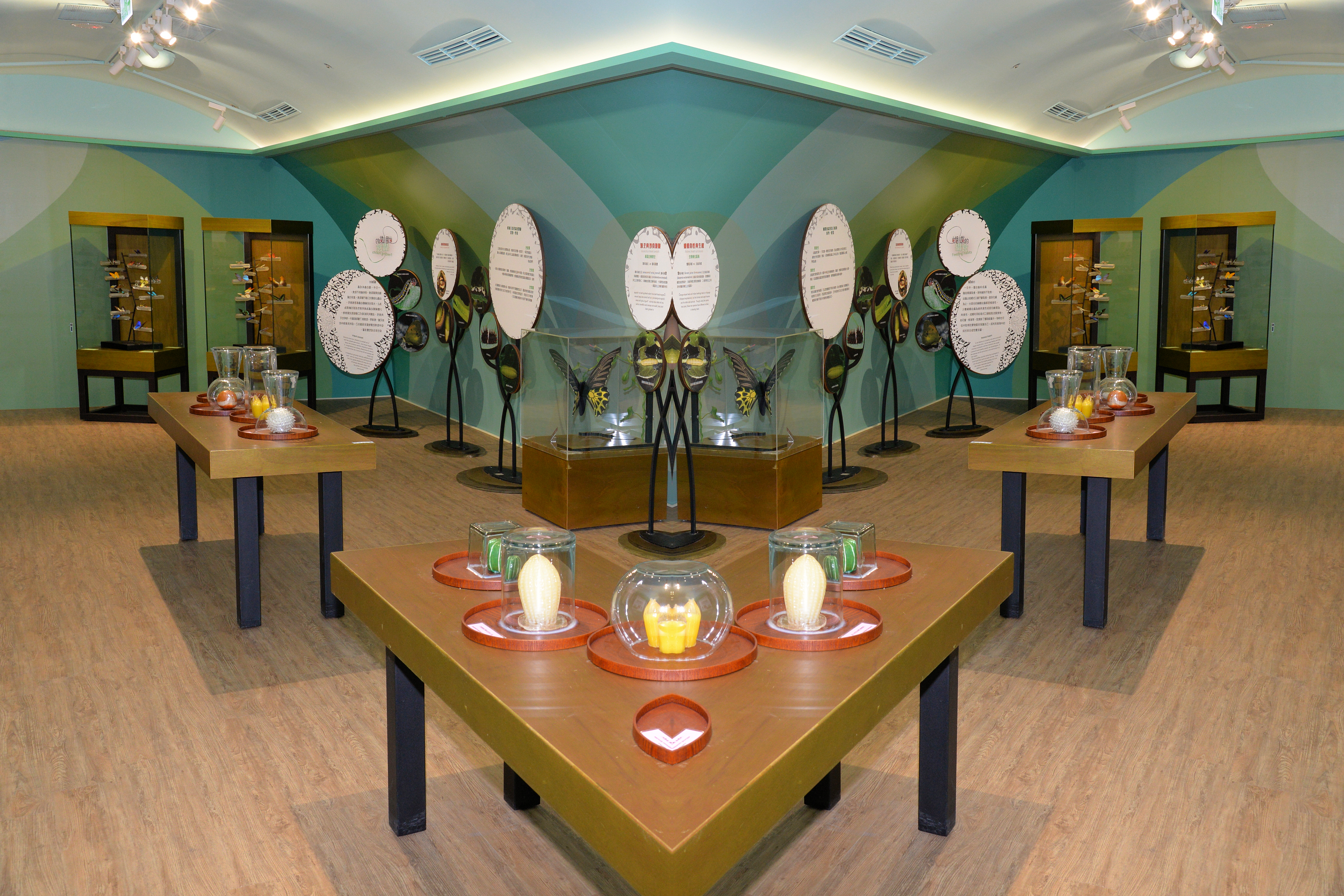 蝴蝶展示區示意圖二