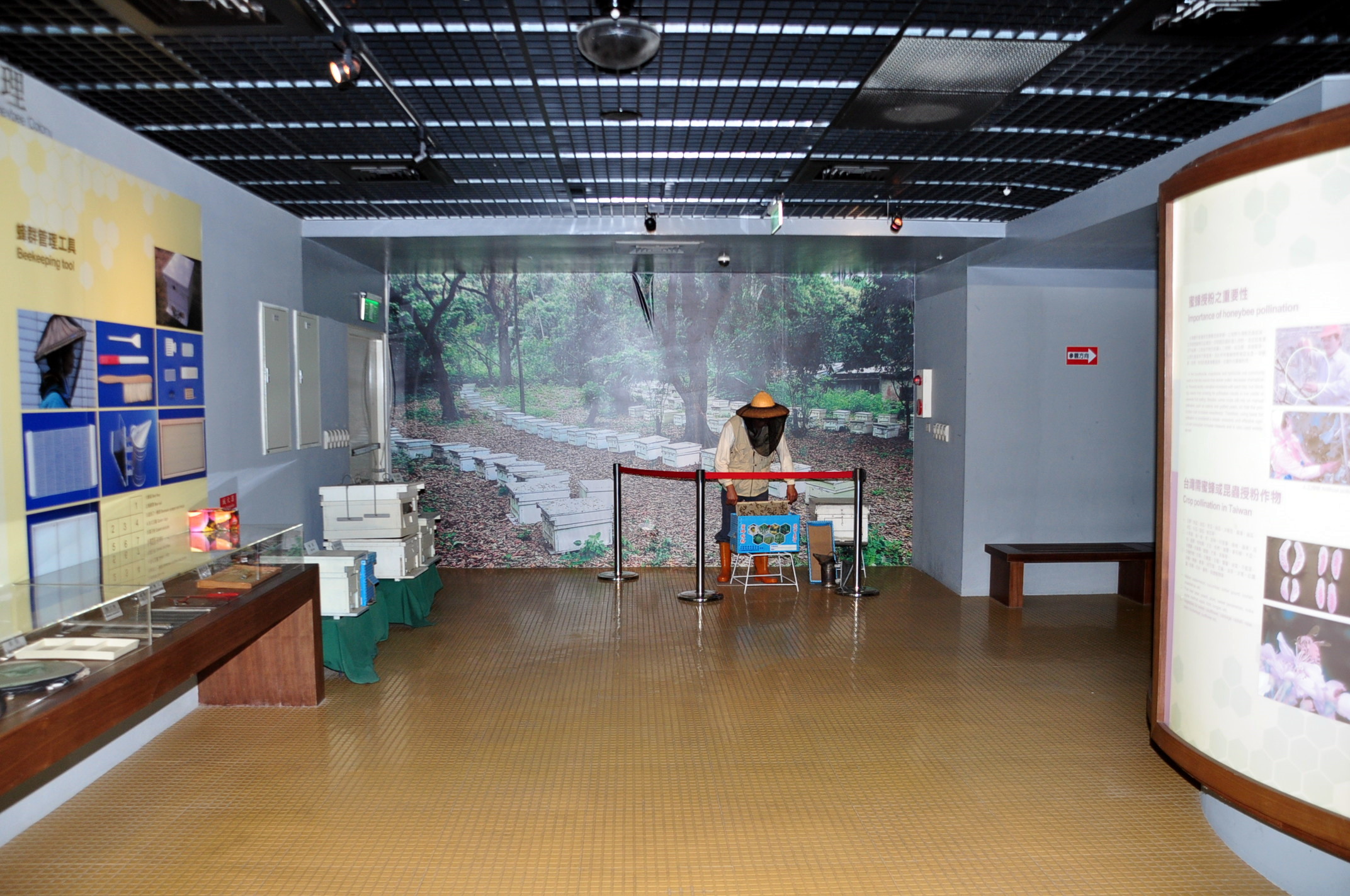 授粉重要性區域示意圖