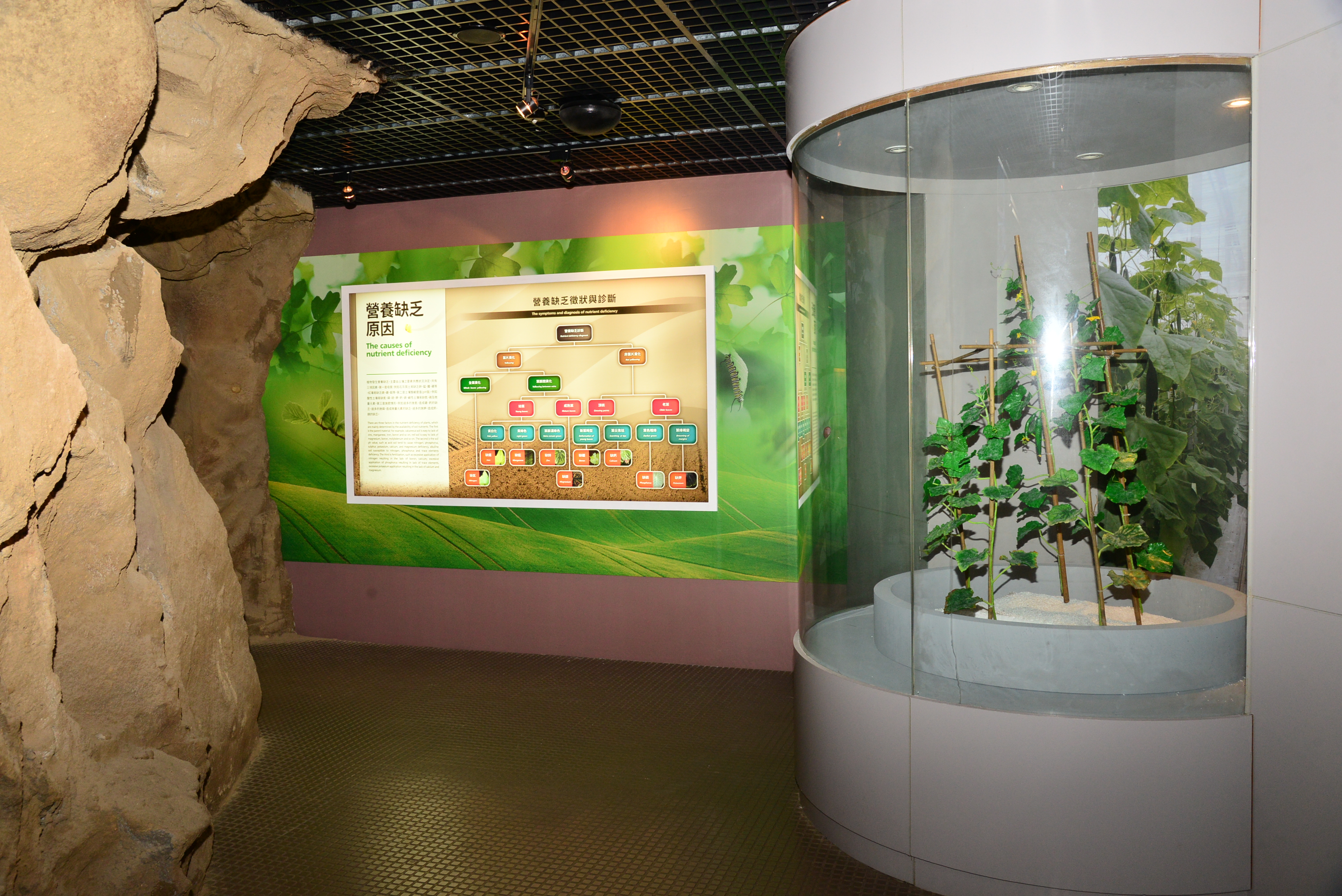 農村生活文化展示區二