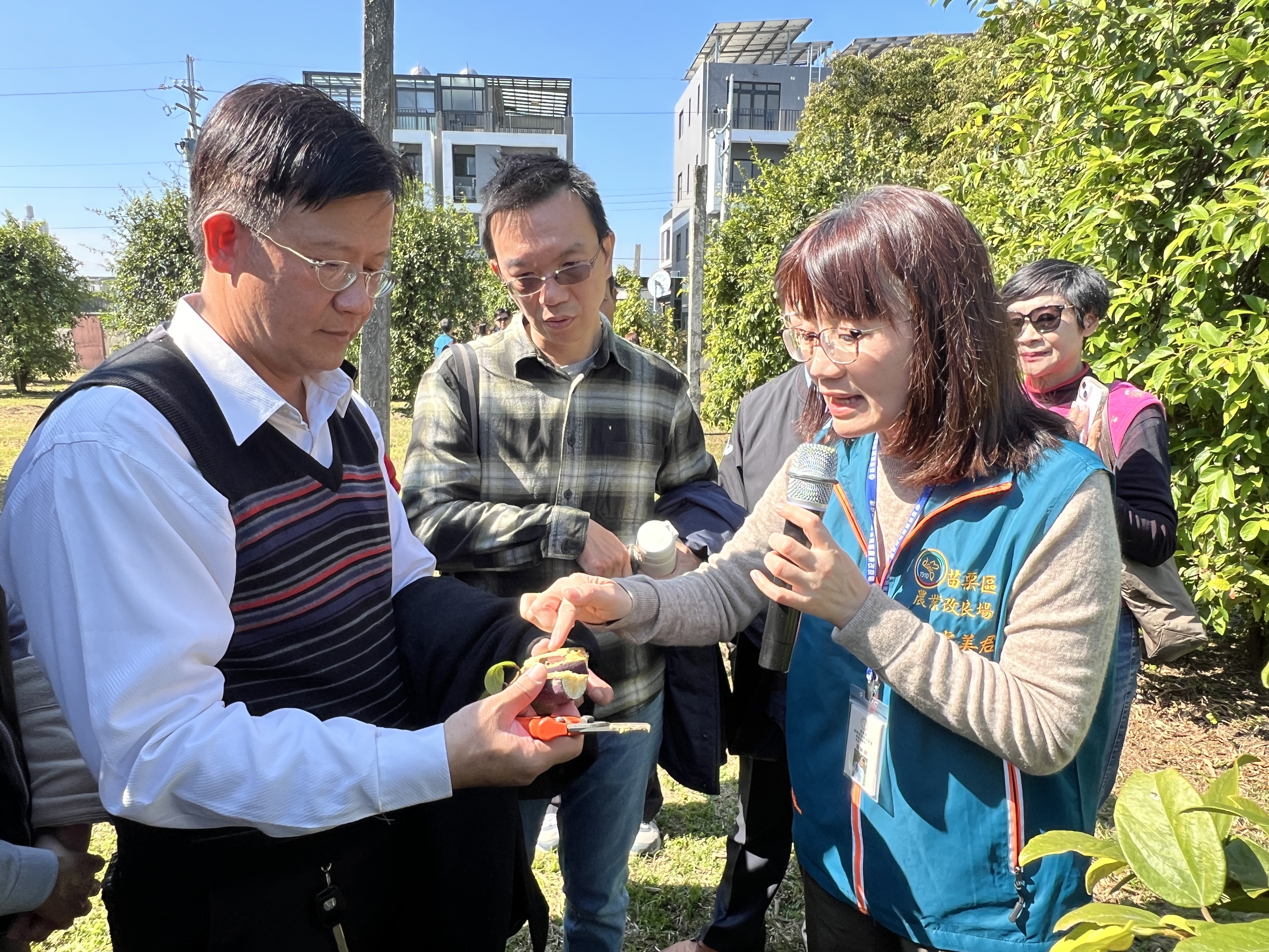 圖片說明如下行